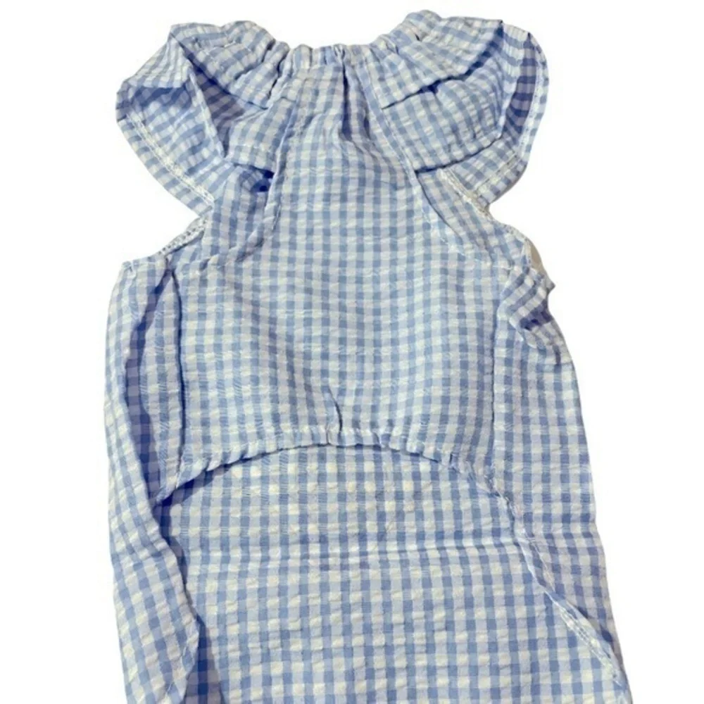 Momo the Yorkie Pet apparel dress blue checkered L